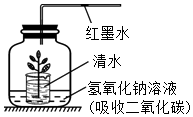 菁優(yōu)網(wǎng)