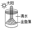 菁優(yōu)網(wǎng)