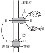 菁優(yōu)網(wǎng)