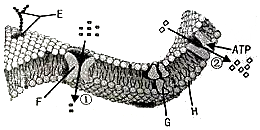 菁優(yōu)網(wǎng)