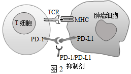 菁優(yōu)網