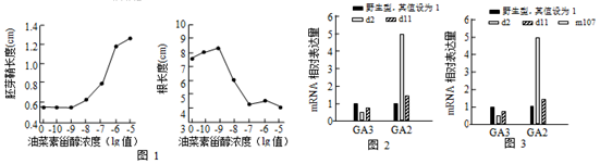 菁優(yōu)網