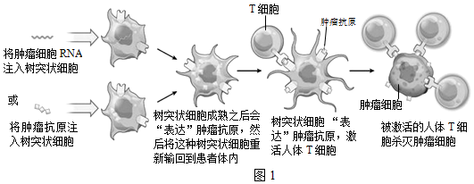 菁優(yōu)網