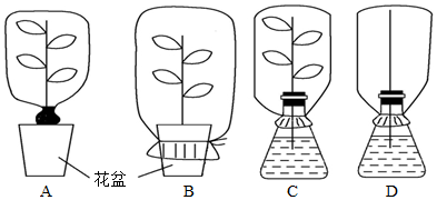 菁優(yōu)網