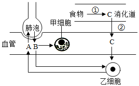 菁優(yōu)網(wǎng)