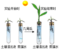 菁優(yōu)網