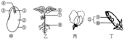 菁優(yōu)網