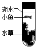 菁優(yōu)網(wǎng)