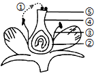 菁優(yōu)網(wǎng)