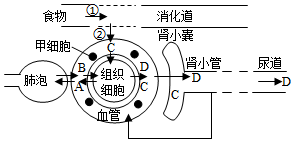 菁優(yōu)網(wǎng)