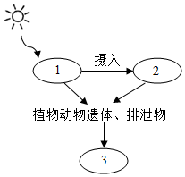 菁優(yōu)網(wǎng)