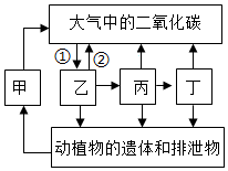 菁優(yōu)網(wǎng)