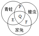 菁優(yōu)網(wǎng)