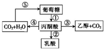 菁優(yōu)網(wǎng)