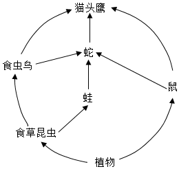 菁優(yōu)網