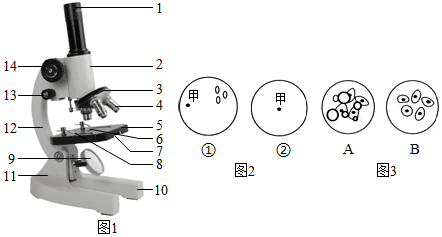 菁優(yōu)網