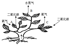 菁優(yōu)網(wǎng)