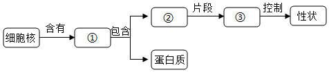 菁優(yōu)網