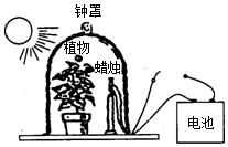 菁優(yōu)網(wǎng)