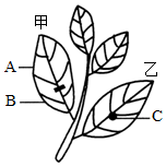 菁優(yōu)網(wǎng)