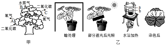 菁優(yōu)網