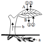 菁優(yōu)網(wǎng)