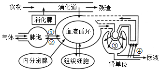 菁優(yōu)網(wǎng)