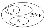 菁優(yōu)網