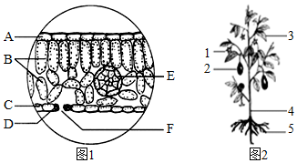 菁優(yōu)網(wǎng)