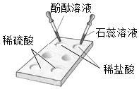 菁優(yōu)網