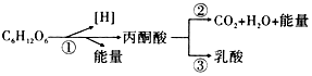 菁優(yōu)網(wǎng)