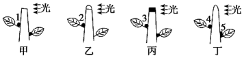 菁優(yōu)網(wǎng)