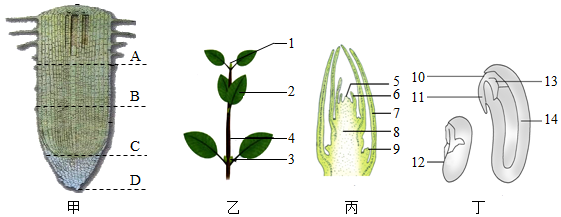 菁優(yōu)網(wǎng)