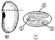 菁優(yōu)網