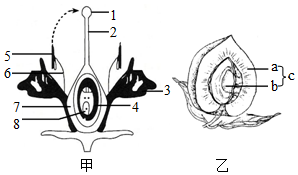 菁優(yōu)網