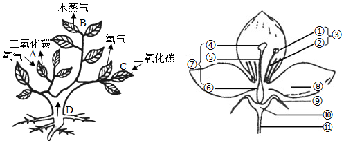 菁優(yōu)網(wǎng)