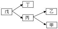 菁優(yōu)網(wǎng)