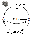 菁優(yōu)網(wǎng)