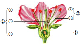 菁優(yōu)網