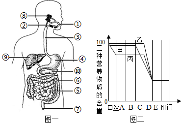 菁優(yōu)網(wǎng)