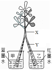 菁優(yōu)網(wǎng)