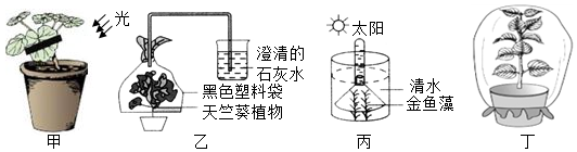 菁優(yōu)網(wǎng)