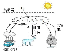 菁優(yōu)網