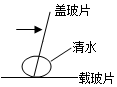 菁優(yōu)網(wǎng)