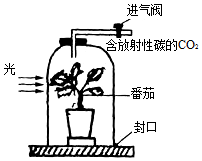 菁優(yōu)網(wǎng)