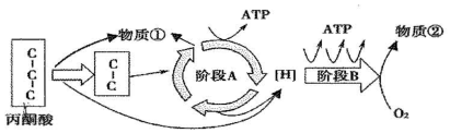 菁優(yōu)網