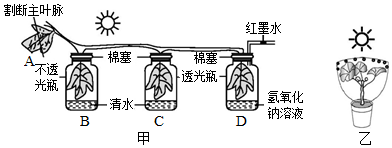 菁優(yōu)網(wǎng)