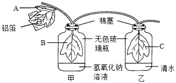 菁優(yōu)網(wǎng)