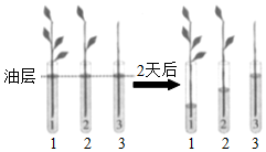 菁優(yōu)網