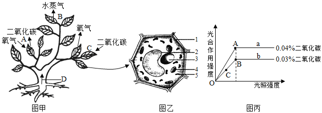 菁優(yōu)網(wǎng)